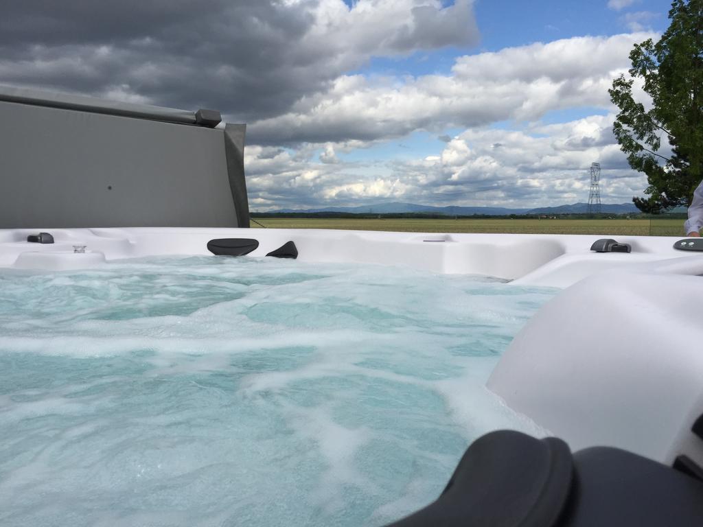 Vila L'Atelier 4 Stars Luxury, Hot Tub, Pool Nambsheim Pokoj fotografie